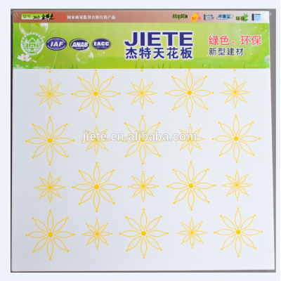 Size 600*600 mm 600*1200 mm Thickness 5mm 6mm 9mm cement Ceiling Sheet Ceiling Panel and Ceiling Tile